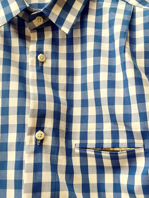 ippei takei Gingham Check Shirts