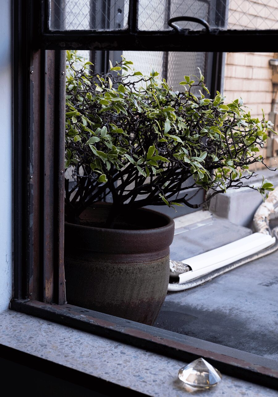 1/12(月)は18時に閉店します。