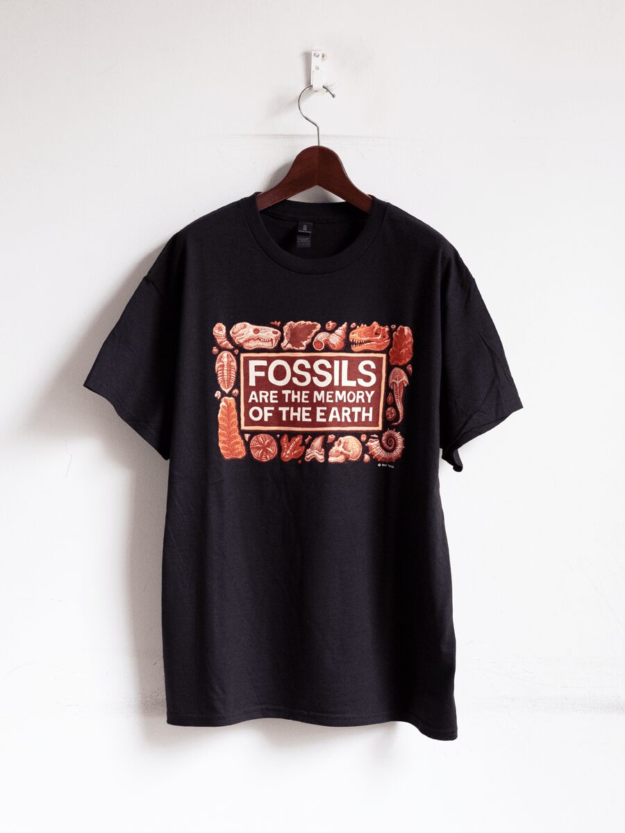 RAY TROLL OFFICIAL　PRINT T